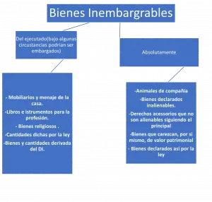 Esquema bienes inembargables elaboración propía