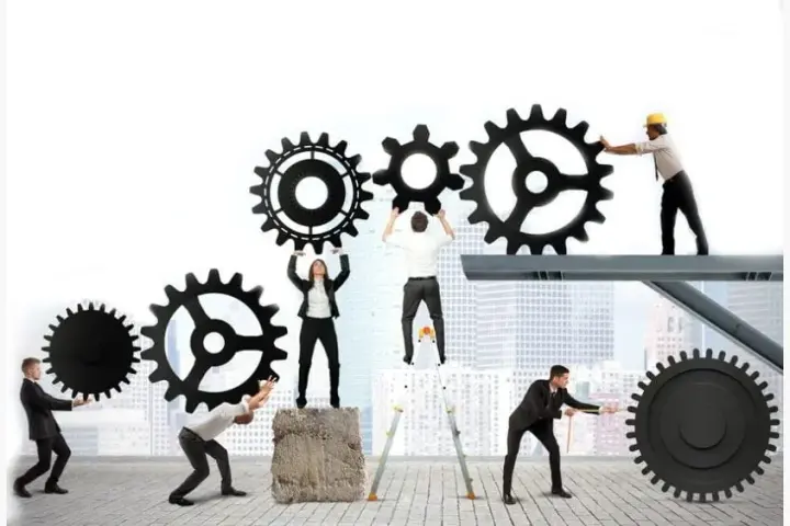 Sociedad Limitada Profesional Unipersonal