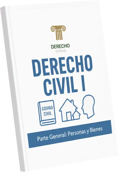 Manual de Derecho Civil I de Derecho Virtual