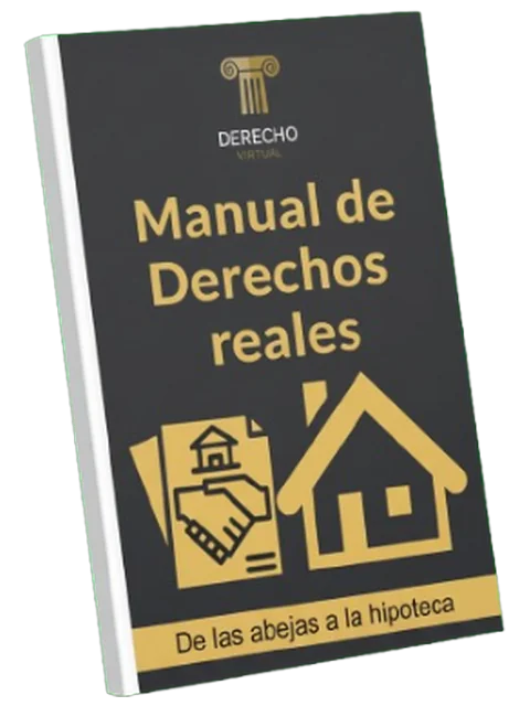 Portada del manual Derecho Civil IV: Derechos Reales