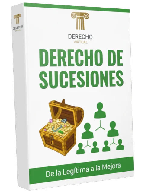 Portada del manual Derecho Civil VI: Sucesiones