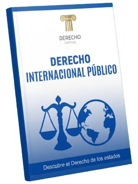 Portada del manual Derecho Internacional Público
